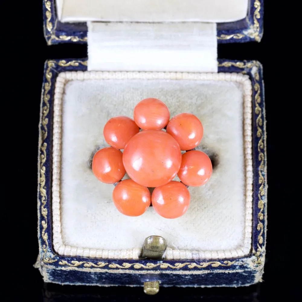 Antique Georgian Coral Cluster Ring 18Ct Gold Circa 1800