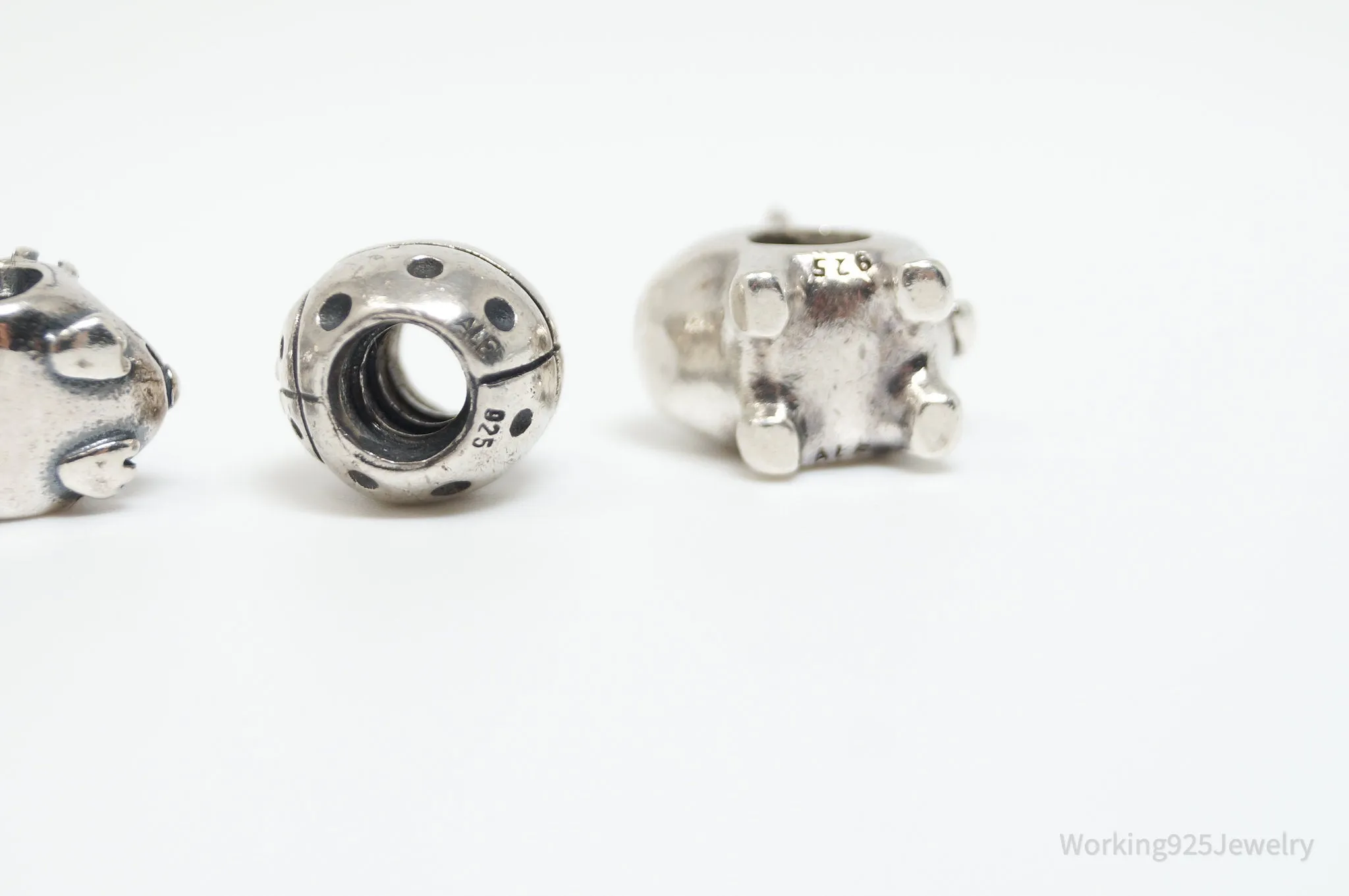 Authentic Pandora ALE Outdoors Sterling Silver Charms Set