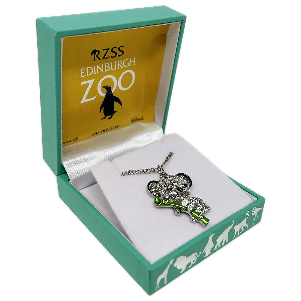 Edinburgh Zoo Boxed Koala Pendant Necklace