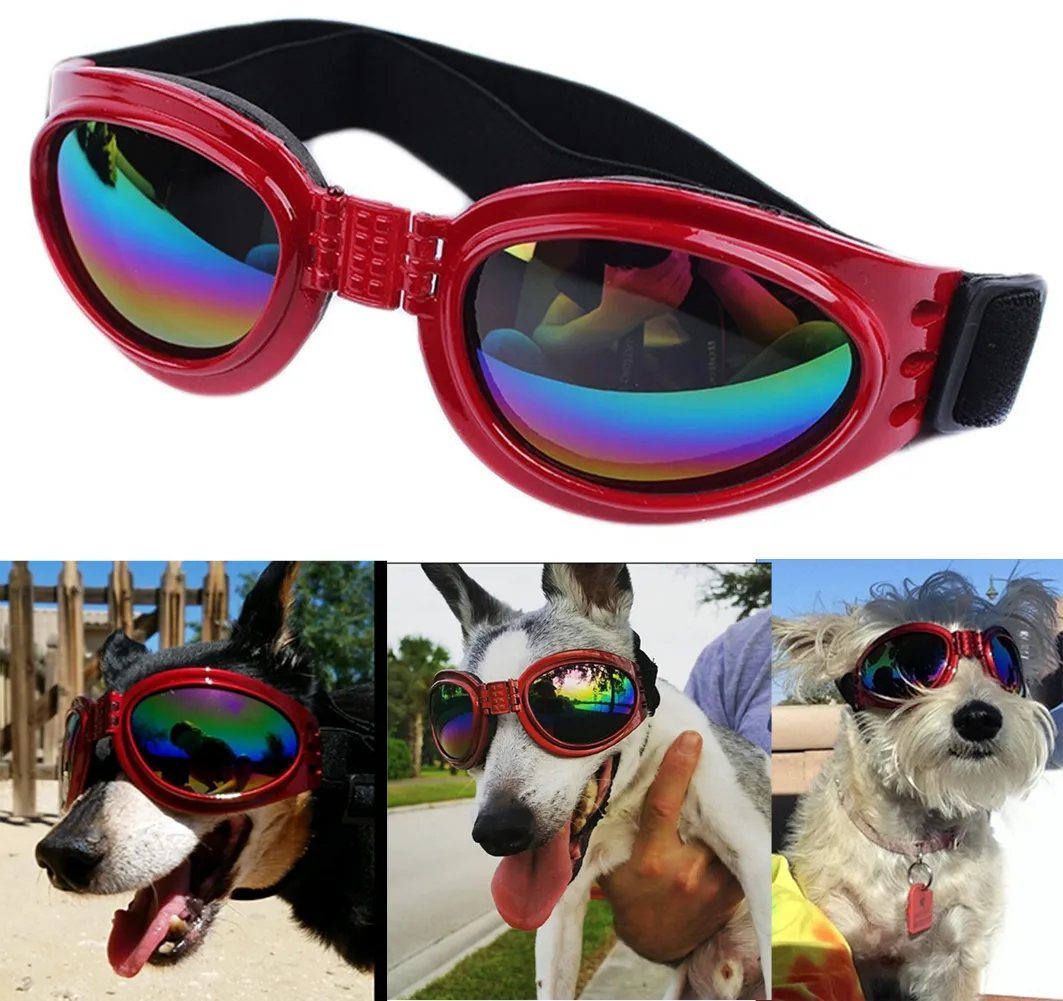 QUMY Dog Sunglasses