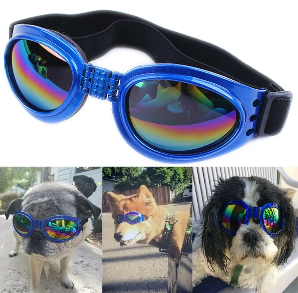 QUMY Dog Sunglasses