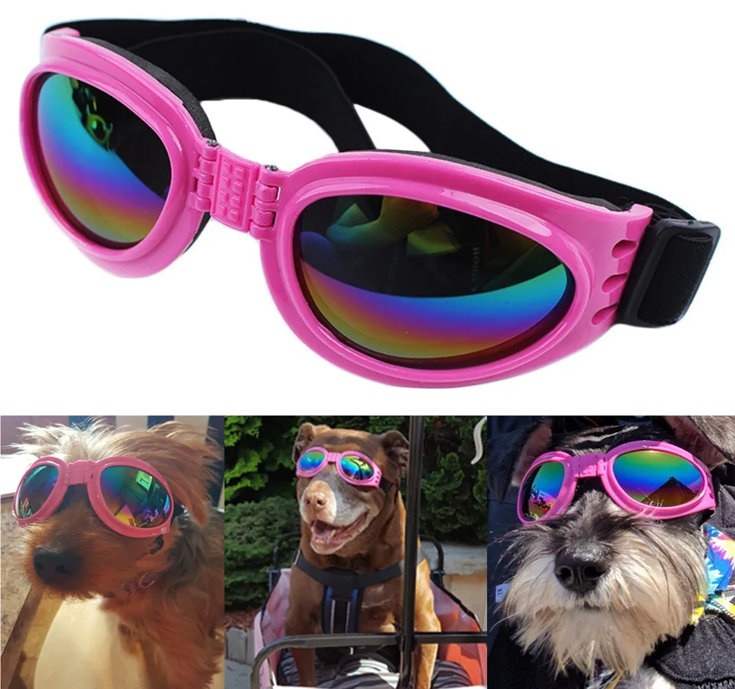 QUMY Dog Sunglasses