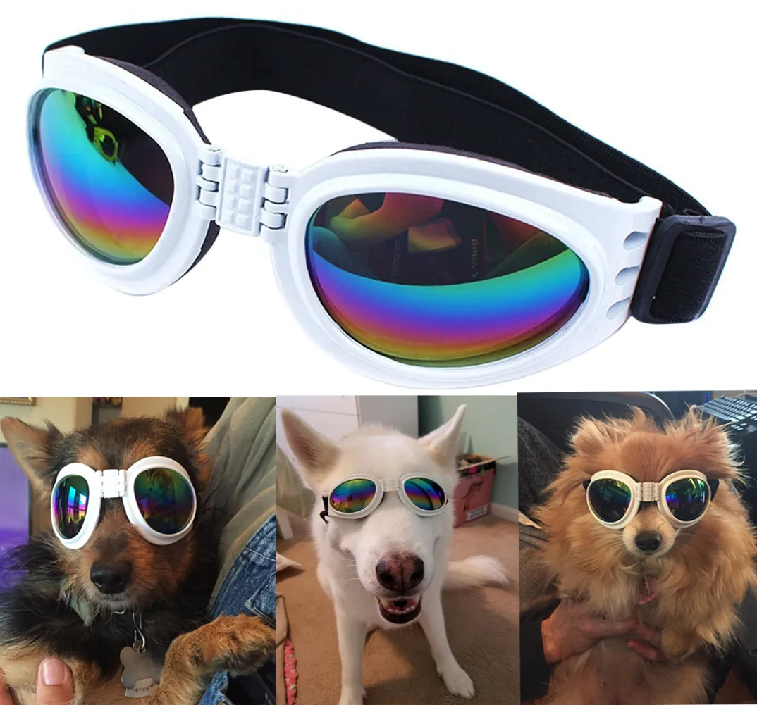 QUMY Dog Sunglasses