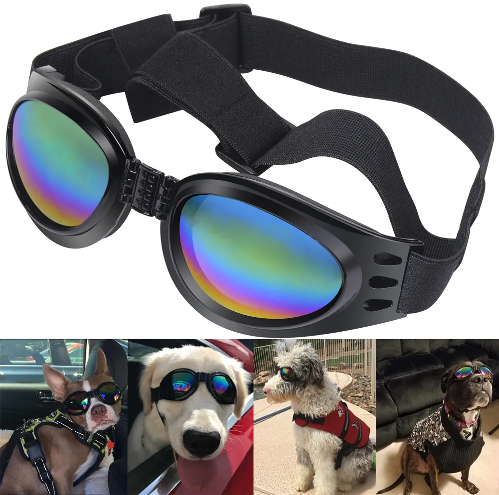 QUMY Dog Sunglasses