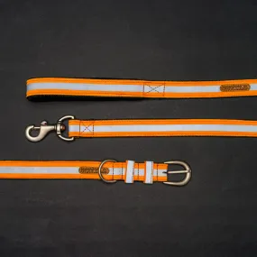 Reflective Orange Nylon Belt Collar and Leash with Padded Handle