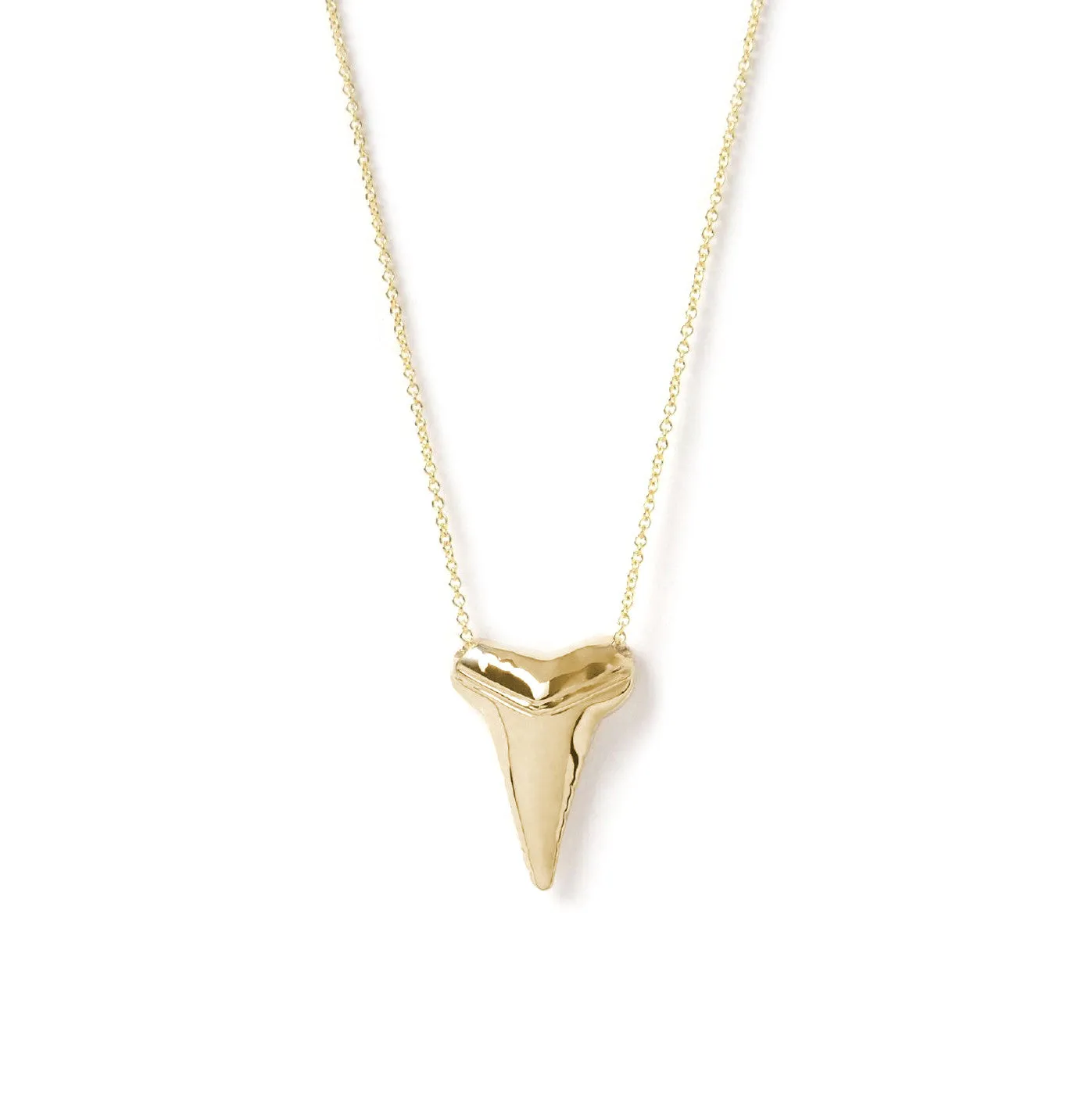 Sharktooth Necklace