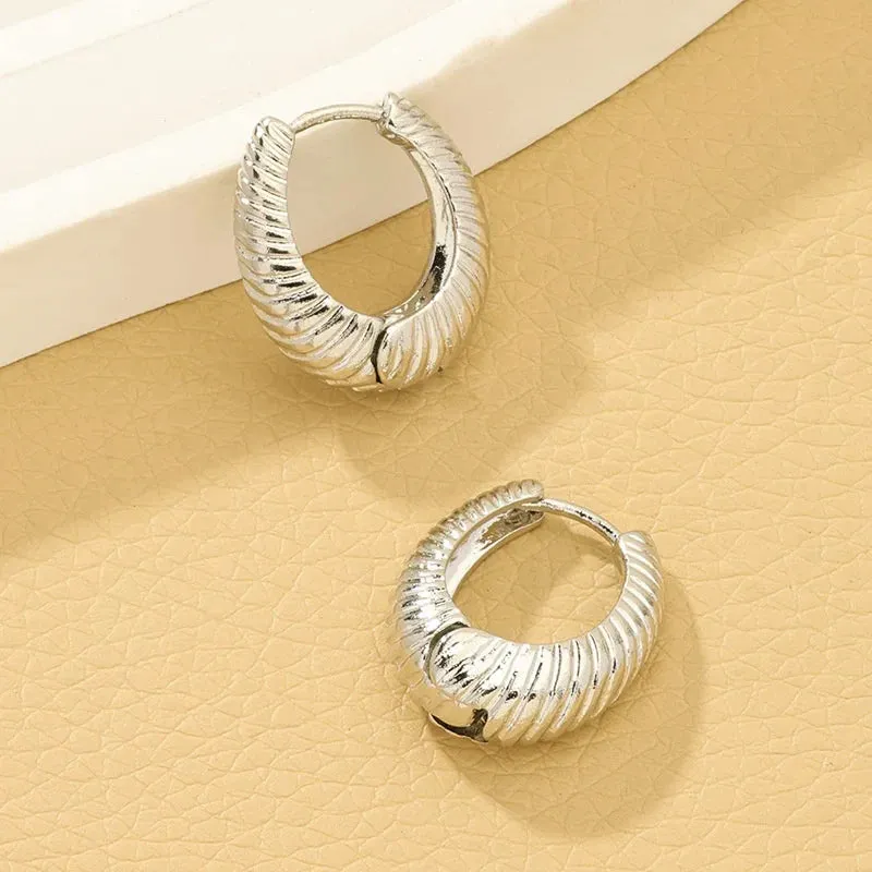 Stainless Steel Metal Twisted Hoop Girls Fashion Round Circle Hoops Statement Punk Jewelry Trendy Earring